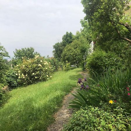 Appartement Avec Vue Panoramique Sur L'Estuaire De La Gironde Plassac  Eksteriør bilde