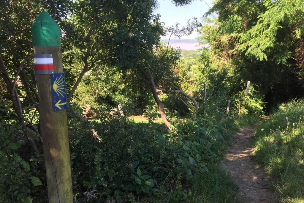 Appartement Avec Vue Panoramique Sur L'Estuaire De La Gironde Plassac  Eksteriør bilde