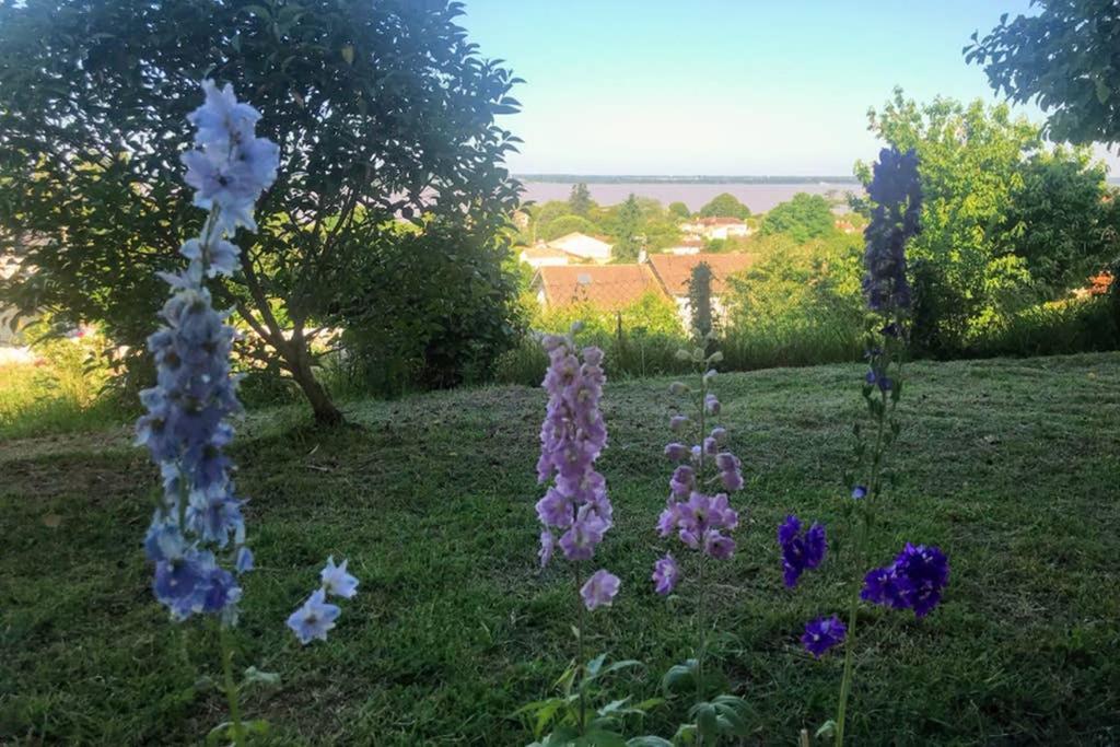 Appartement Avec Vue Panoramique Sur L'Estuaire De La Gironde Plassac  Eksteriør bilde